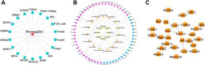 Comprehensive analysis of the expression of N6-methyladenosine RNA methylation regulators in pulmonary artery hypertension